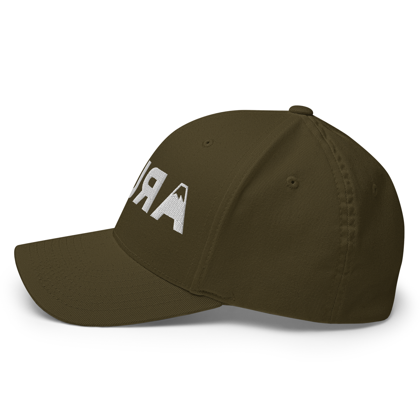 closed back 3D embroidered block logo structured twill cap flexfit 6277